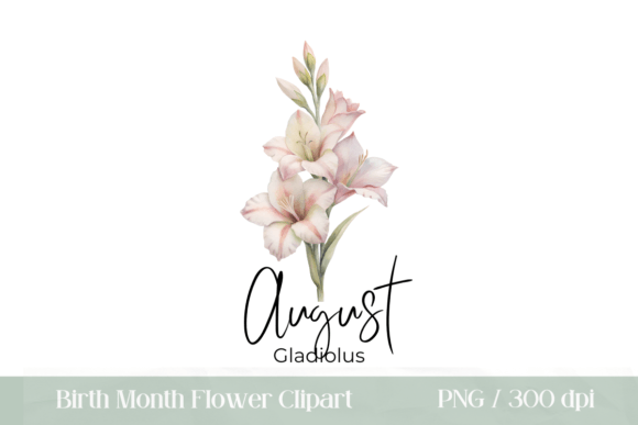 Download Birth Month Flower August, Gladiolus PNG - August Collection