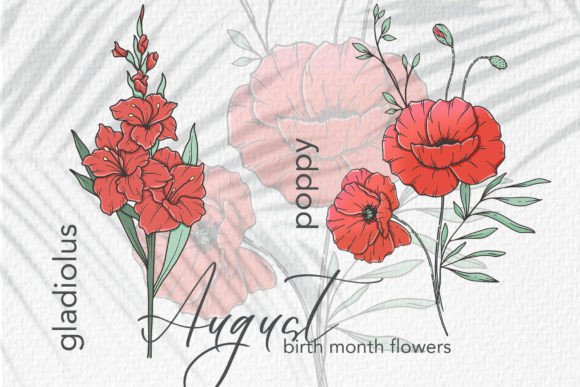 Download August Birth Month Flowers - August Collection